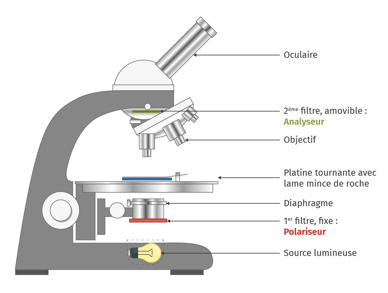 Microscope polarisant