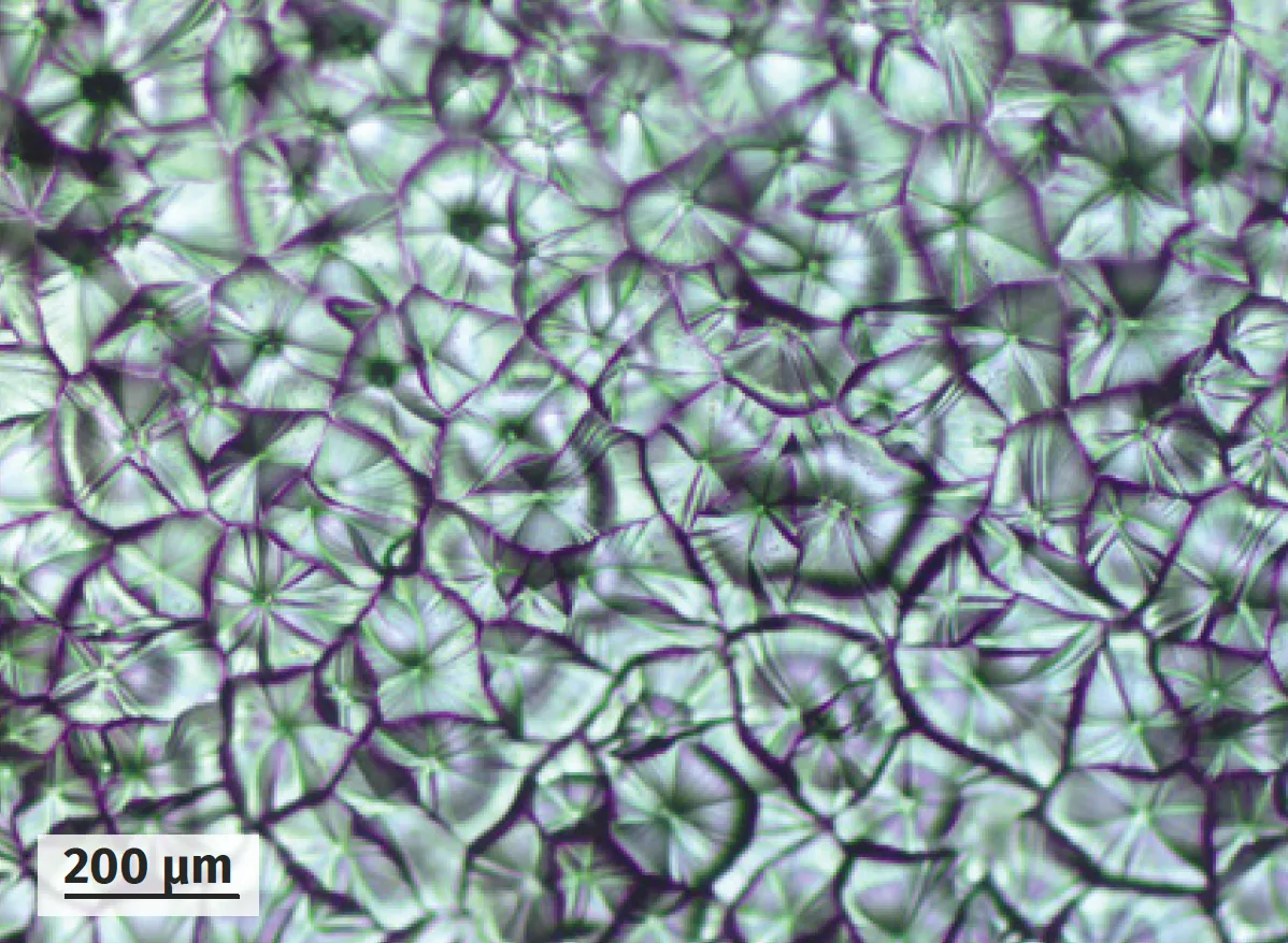 Micrographie de cristaux de pérovskite