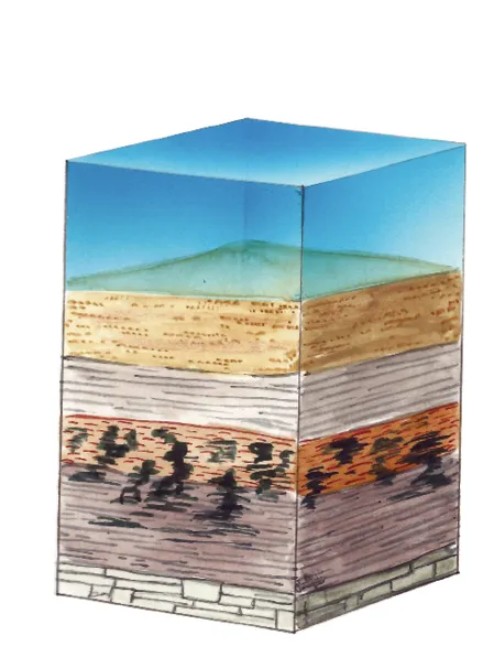 Les étapes de la formation du pétrole et du gaz