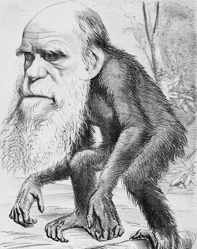 Darwin caricaturé en singe