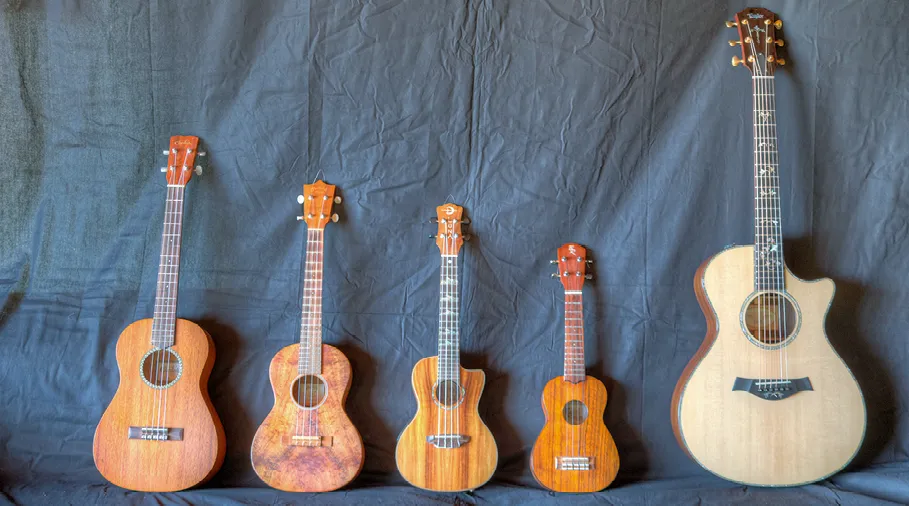 guitare et ukulele