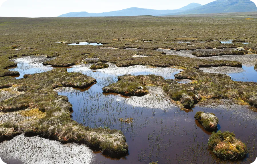 Forsinard Flows National Nature Reserve peatland.