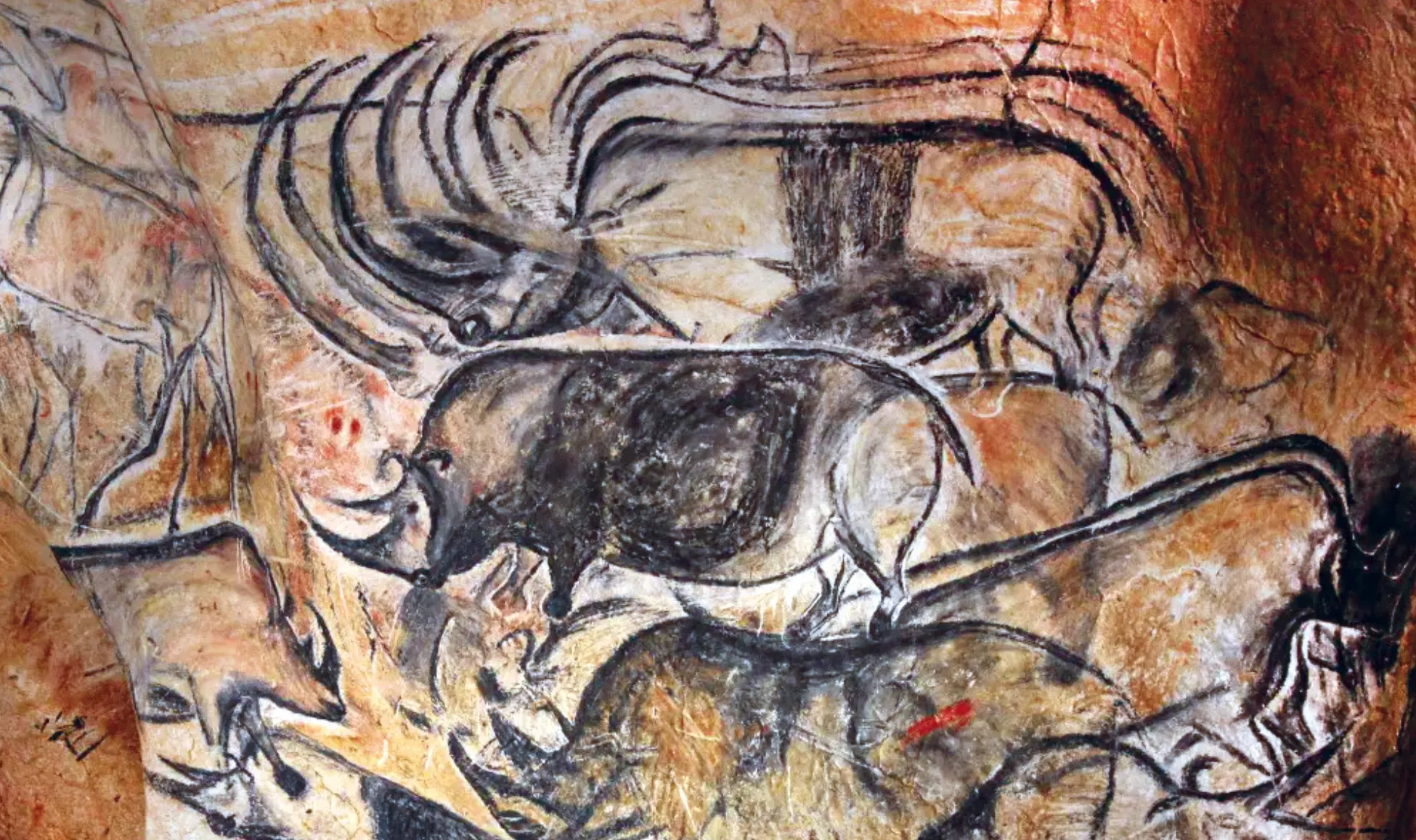 Peinture rupestre préhistorique représentant des animaux, probablement bisons et rhinocéros, représentés avec des lignes noires sur fond ocre.