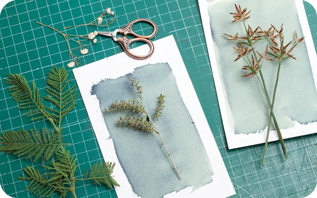 cyanotypes