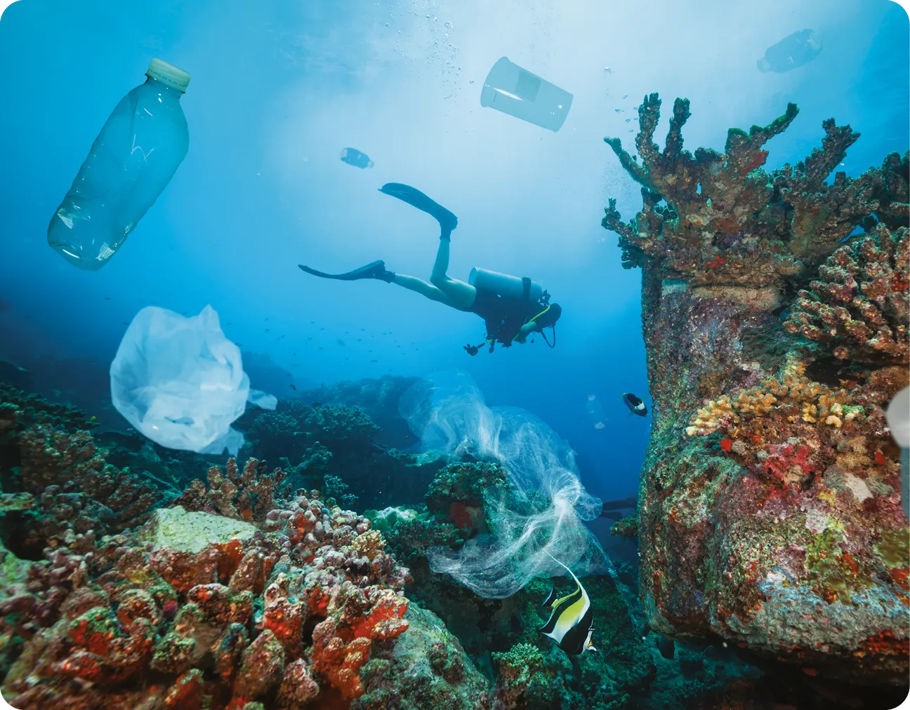 Pollution in the Great Barrier Reef, Queensland, Australia.