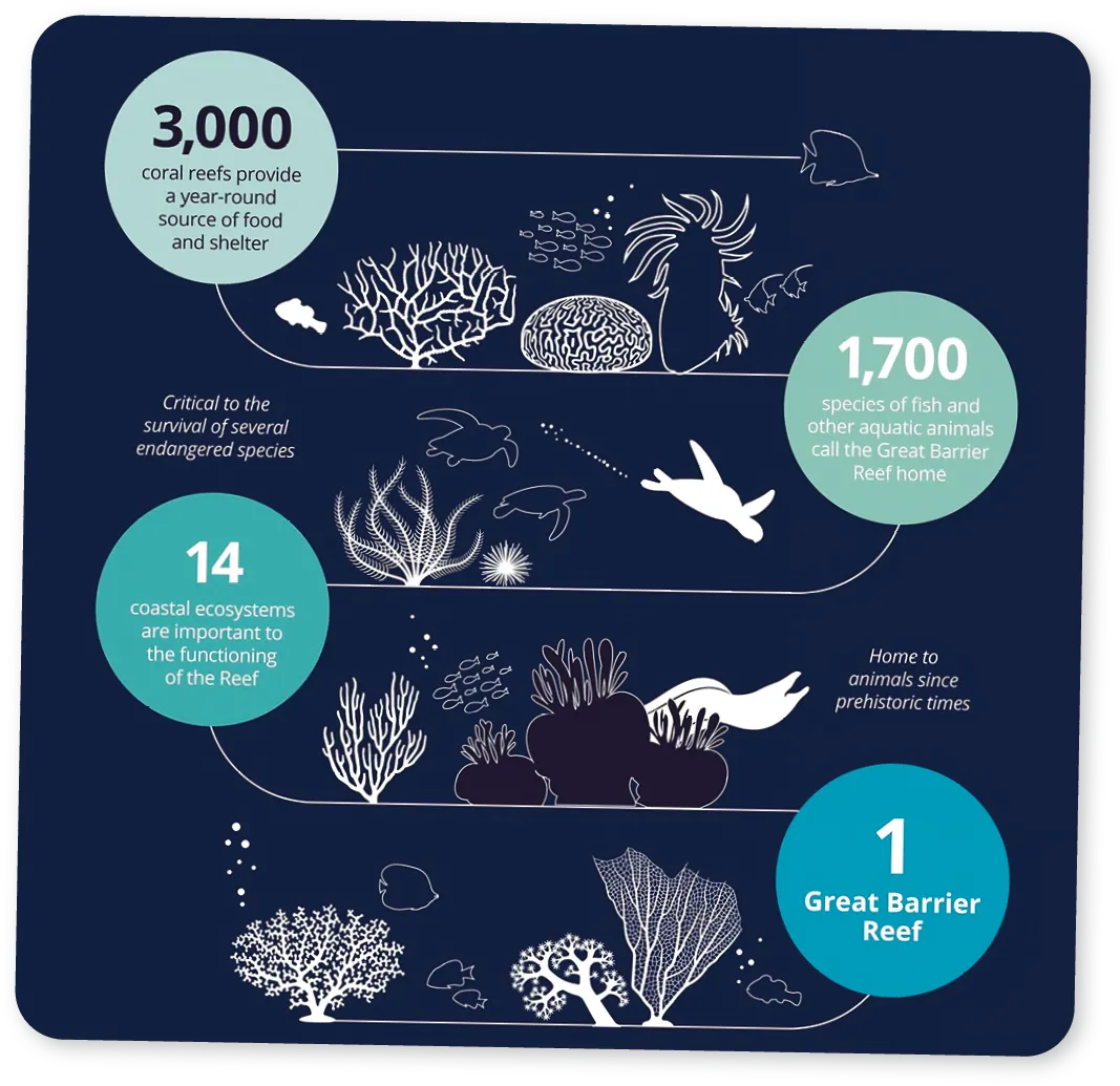 coral reef infography