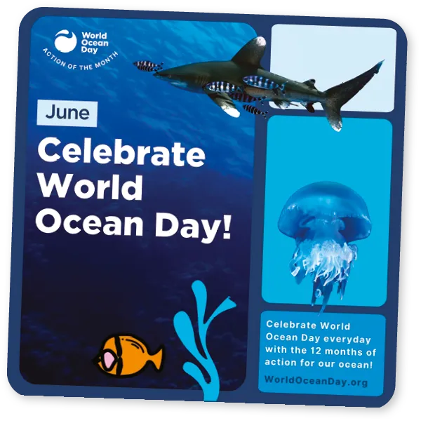 Celebrate World Ocean Day.