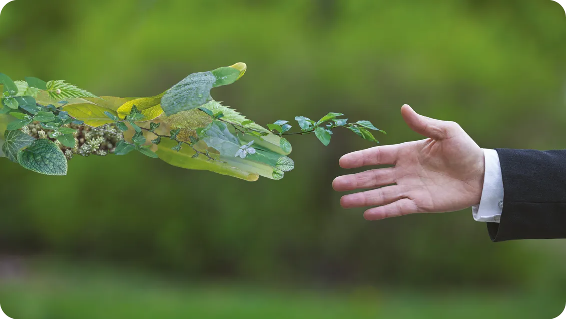 La main d'un homme d'affaires tend vers la nature