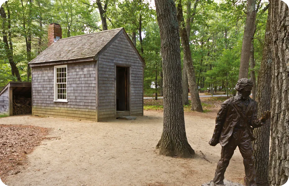 Replica of Thoreau's little one-room cabin in the woods at Walden Pond.
