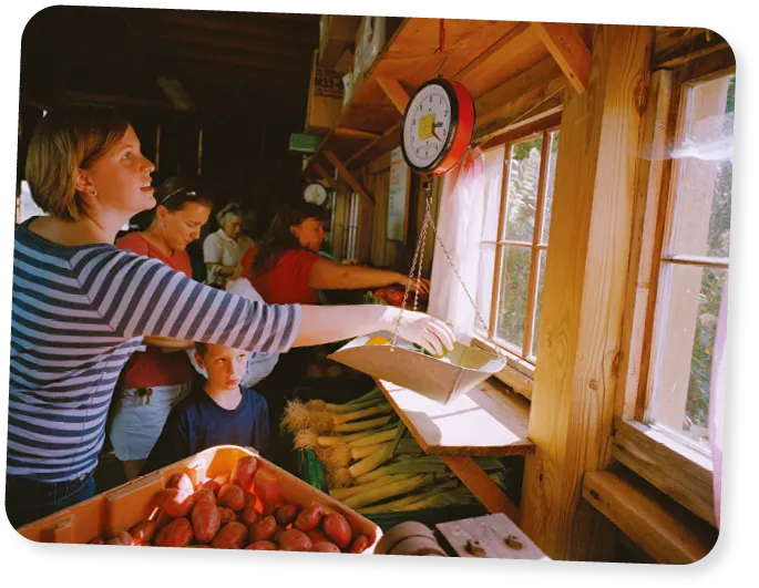 Eco-village co-op in Ithaca, New York.