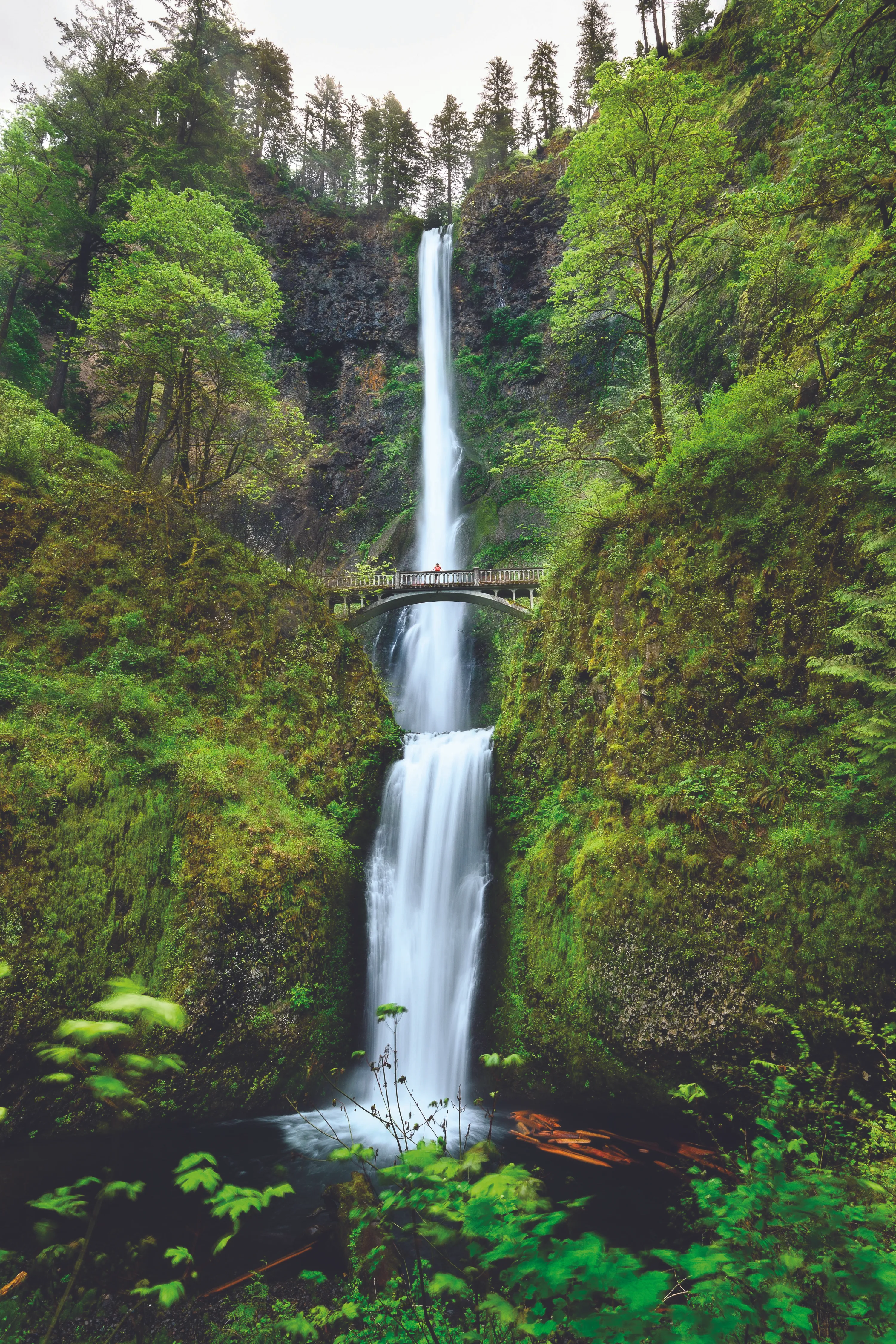 Une vue naturelle des chutes de Multnomah dans l'Oregon, Portland, États-Unis.