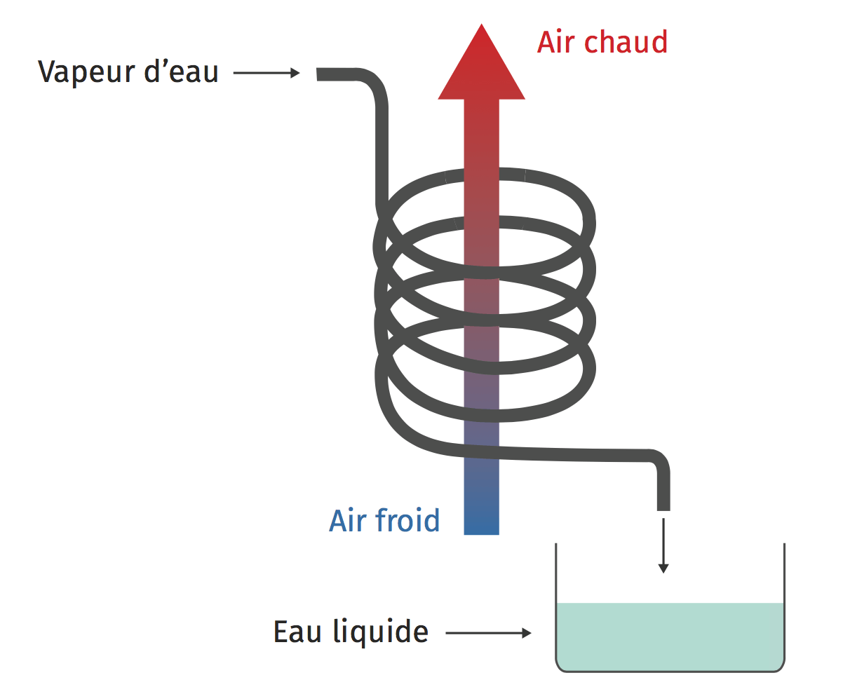 Pour s'entraîner Lelivrescolaire.fr