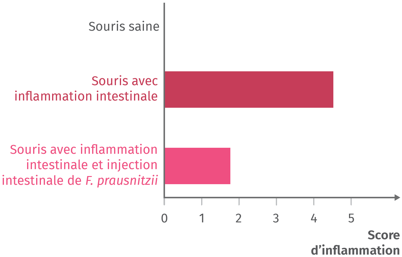 Les rôles du microbiote humain | Lelivrescolaire.fr