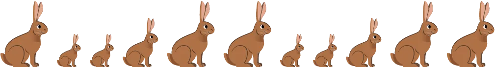 des lapins