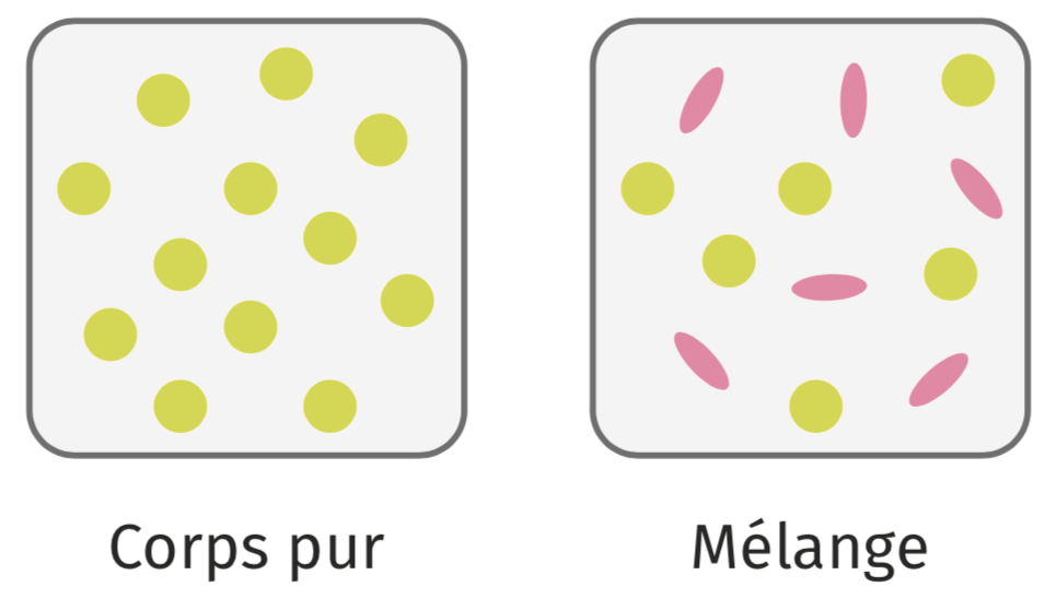Corps Pur Et Melange Quiz Bilan | Lelivrescolaire.fr