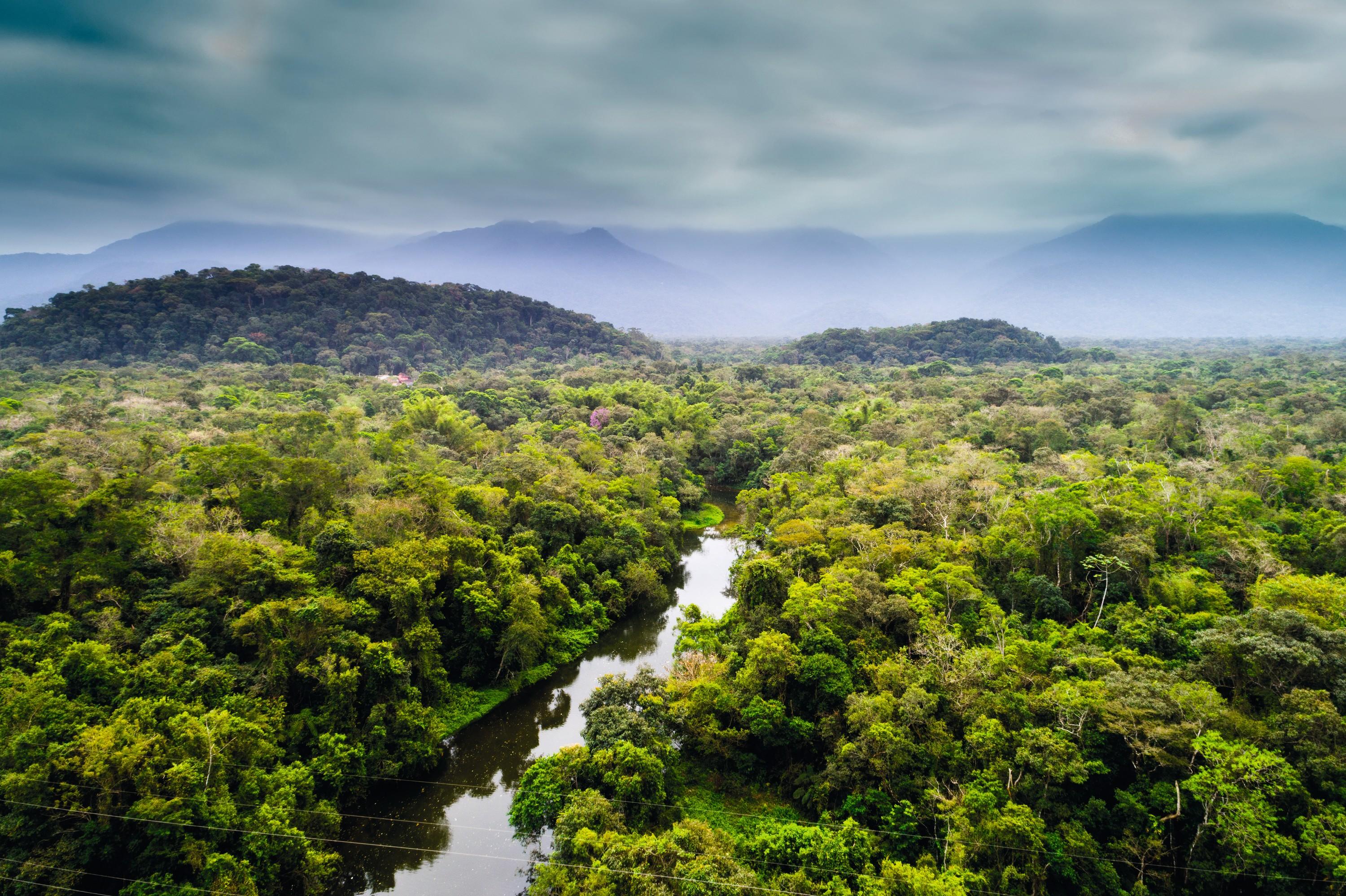 Le parc amazonien de Guyane, un Parc national