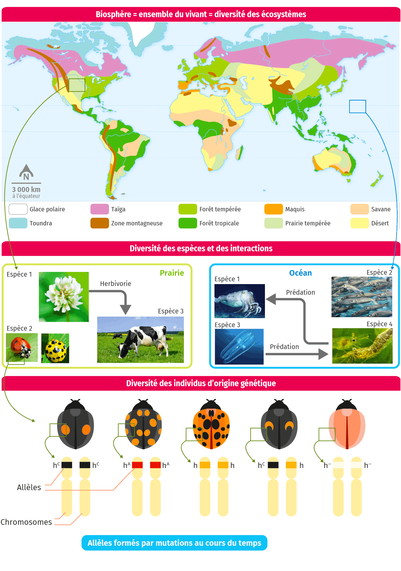 Pdf Expose Theme Biodiversite Pdf T L Charger Download