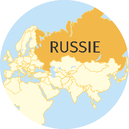 Developpement Et Inegalites En Russie Lelivrescolaire Fr