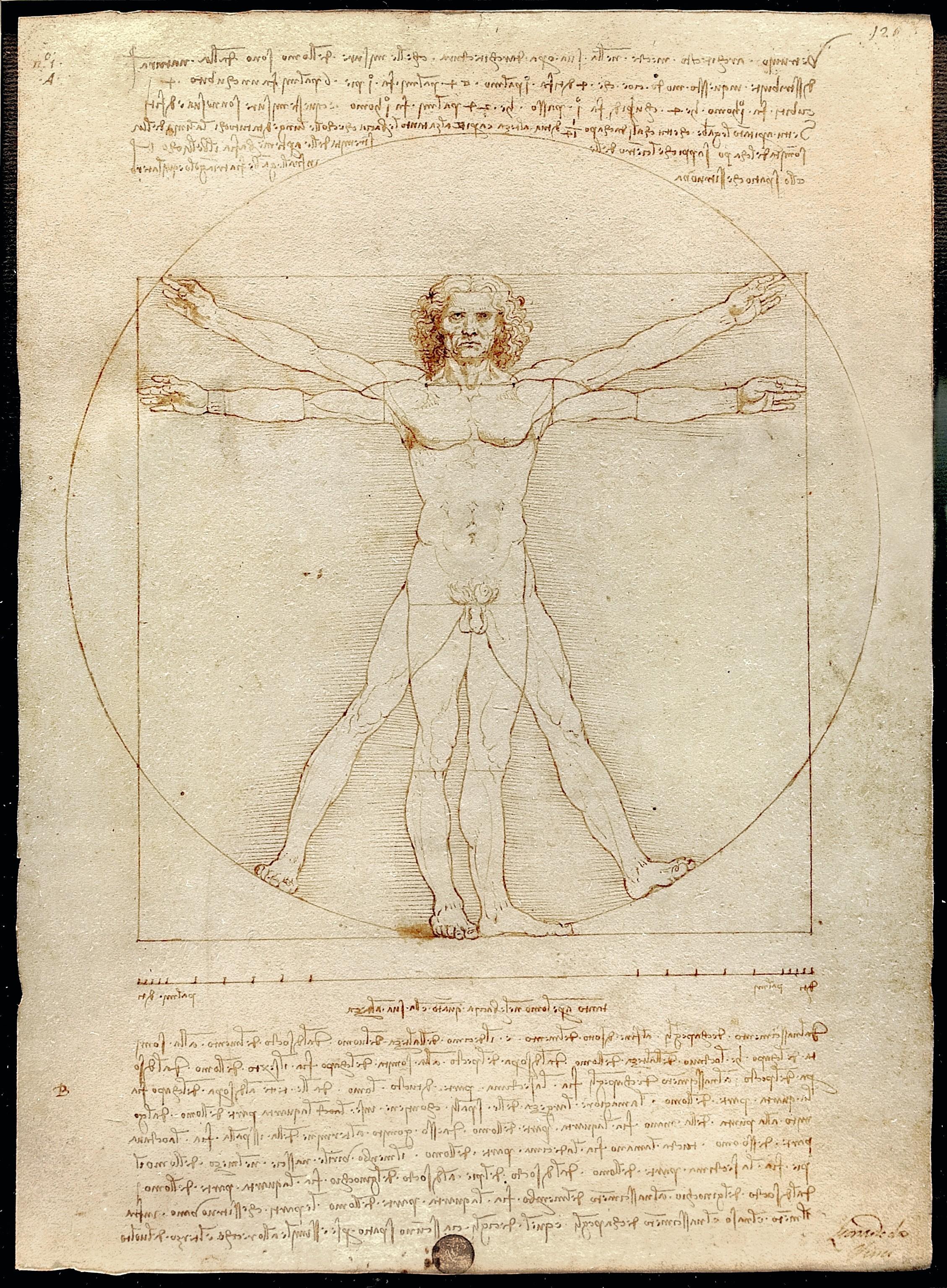 Celebre Dessin De Leonard De Vinci L Homme De Penser et représenter l’homme | Lelivrescolaire.fr