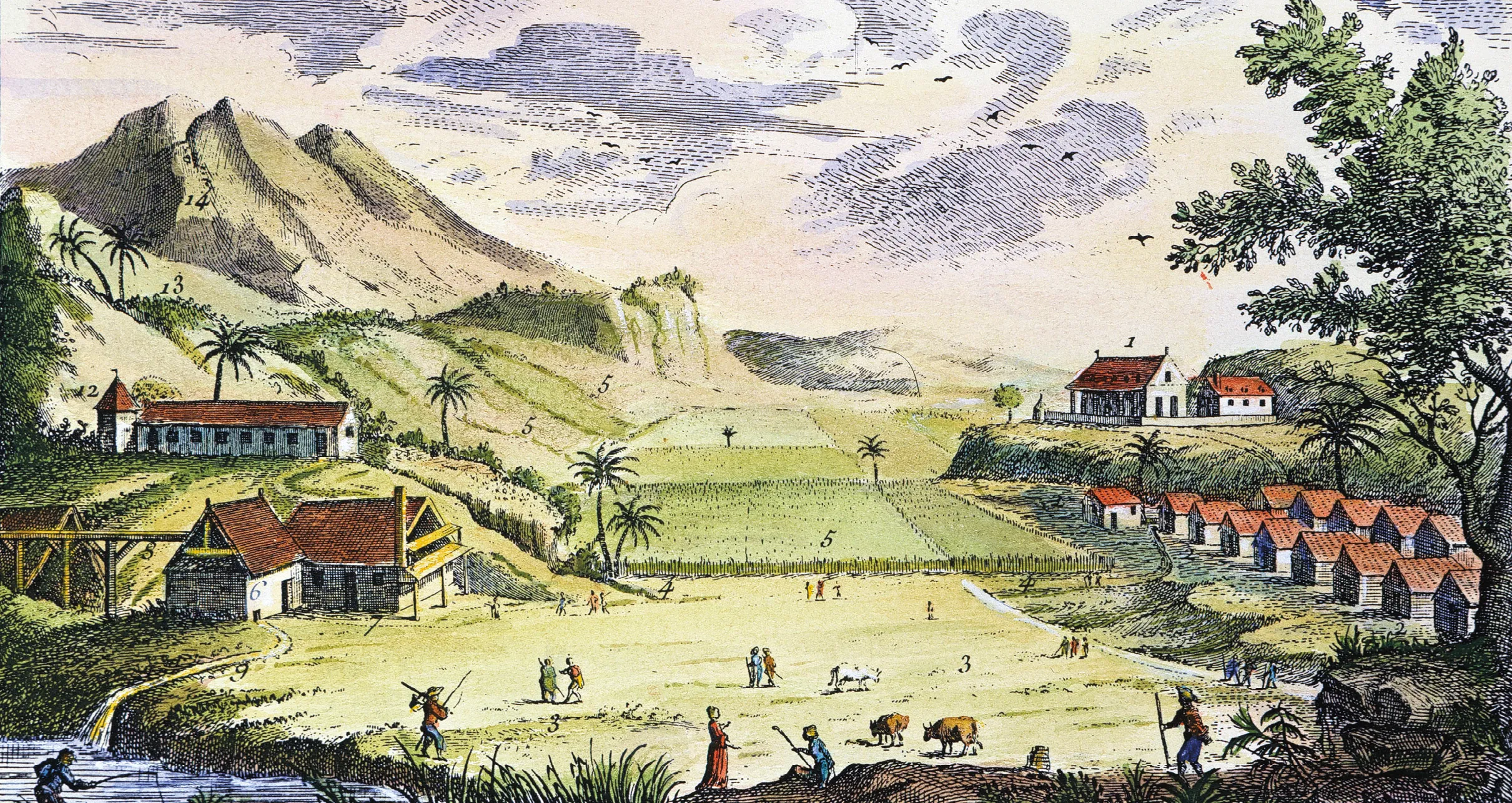 Plantation de sucre, planche de l'Encyclopédie, 1762, gravure (coloriée plus tard), MPP, Charenton-le-Pont.