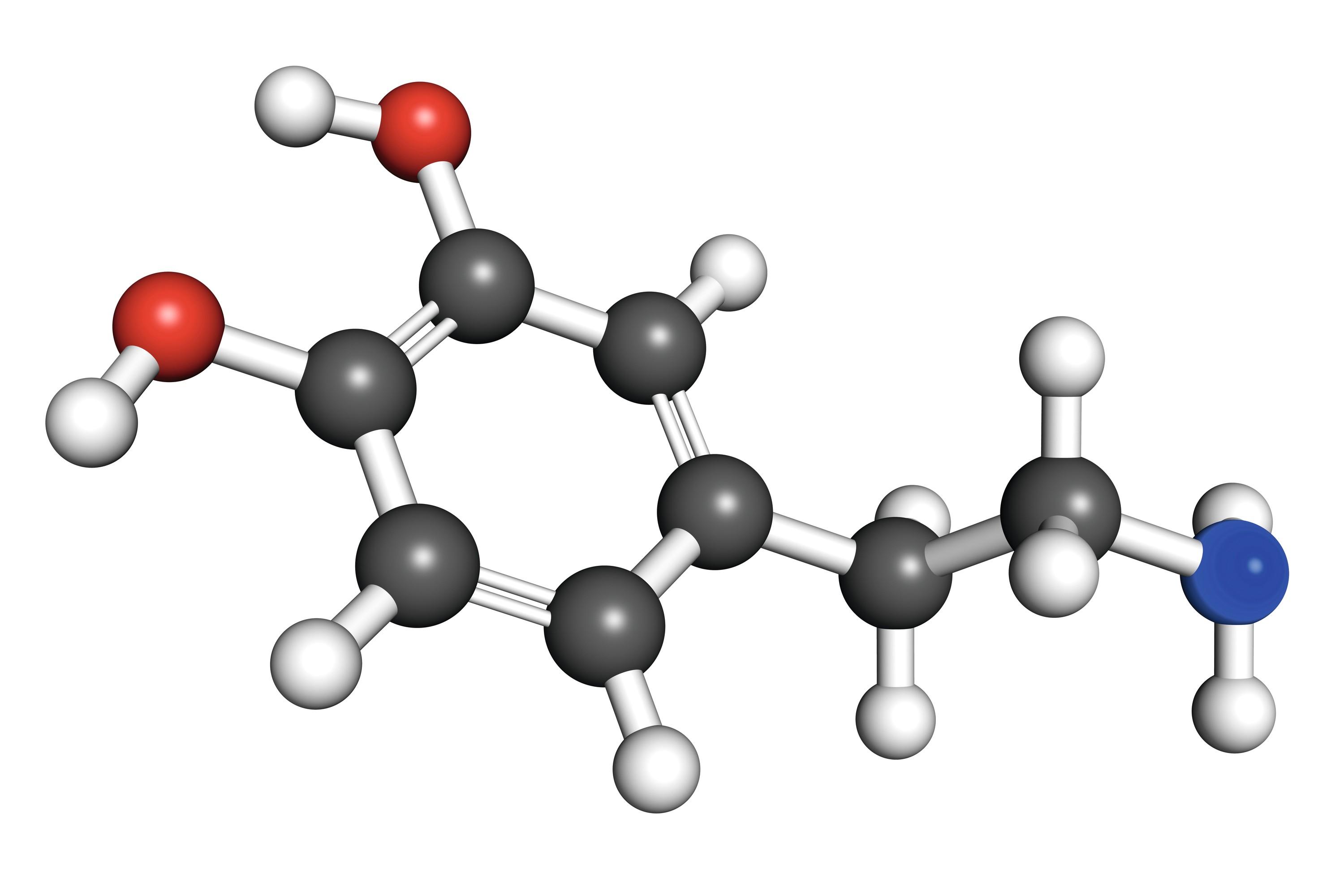 Dopamine, molécule organique