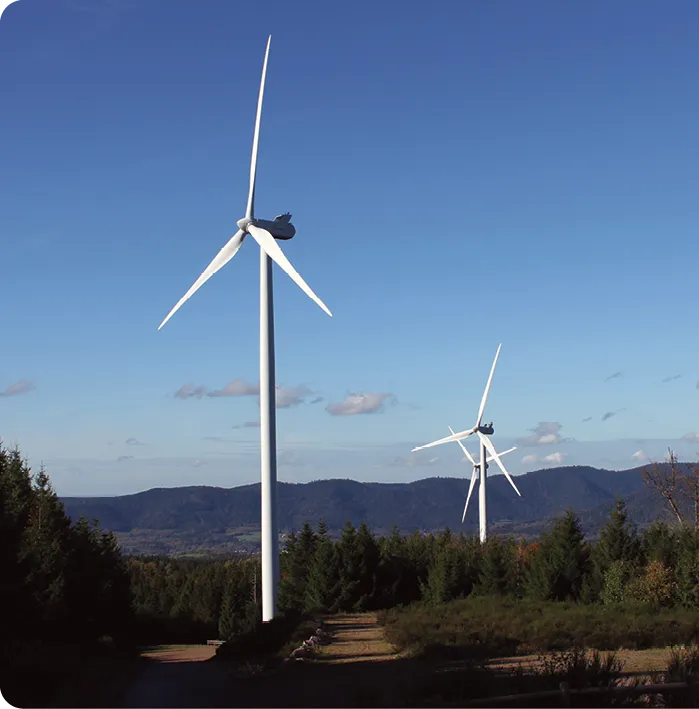 Implantation d'un parc éolien