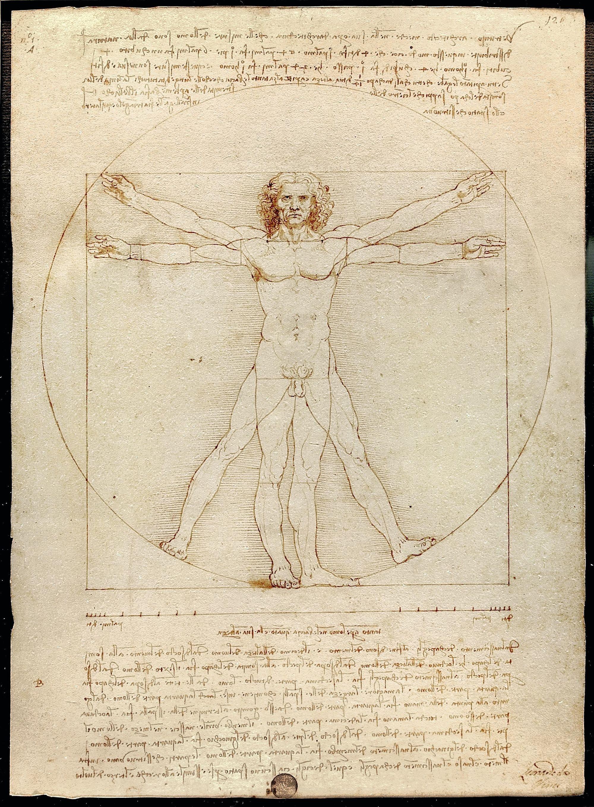 Celebre Dessin De Leonard De Vinci L Homme De Penser et représenter l’homme | Lelivrescolaire.fr