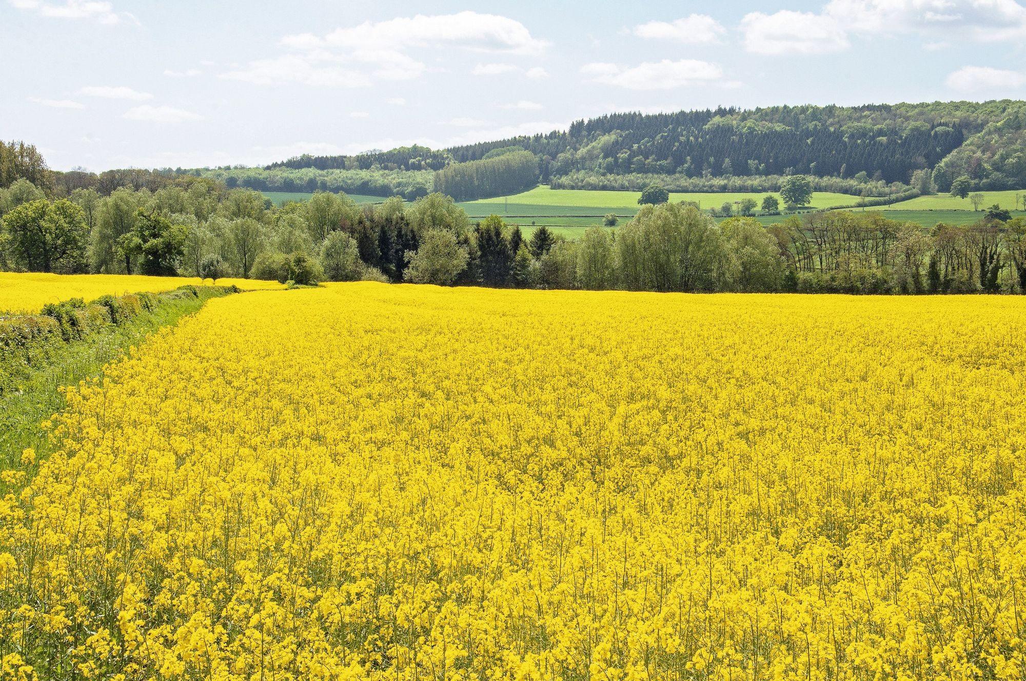 Calcul numérique | Lelivrescolaire.fr