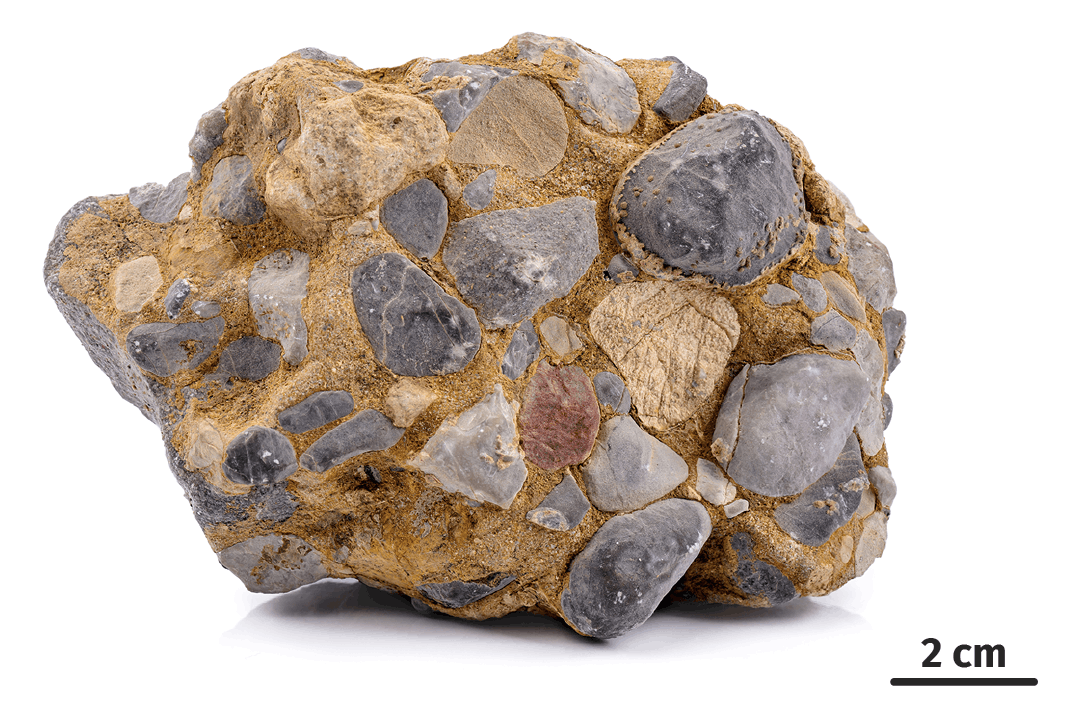 Exercices | Lelivrescolaire.fr