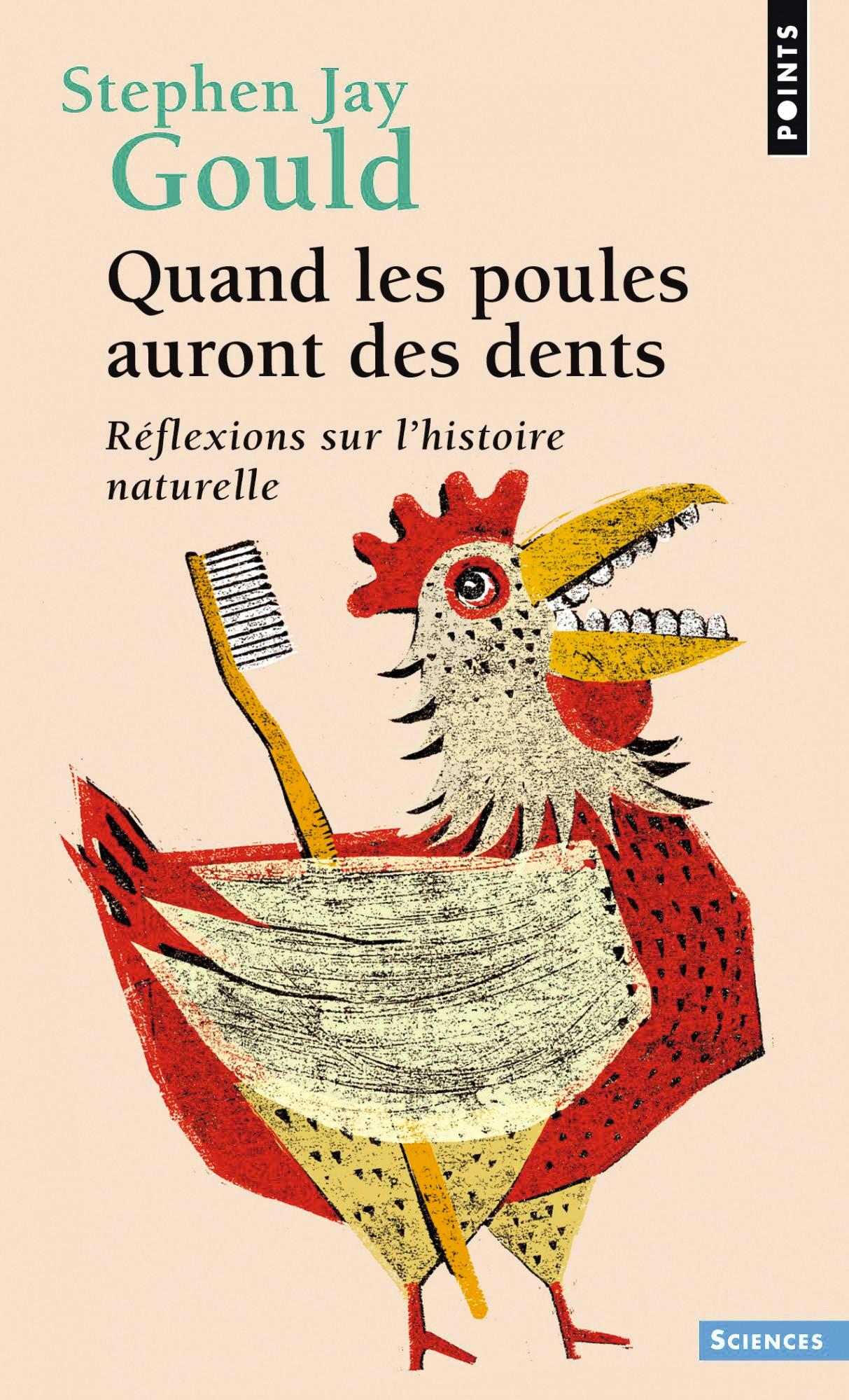 un-autre-regard-sur-le-chapitre-6-lelivrescolaire-fr